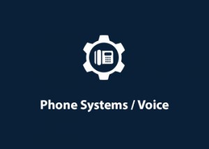 Voice and Phone System Consulting
