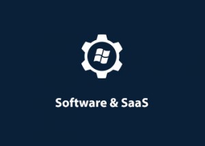 SaaS & Software Consulting