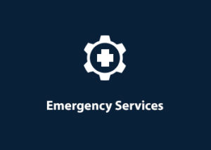 Master Agent - Emergency Services Consulting